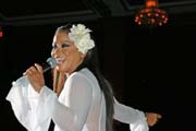 IMG_7241